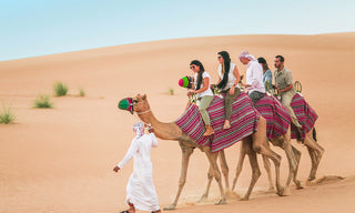 Camel riding experience, likely as part of a desert safari
