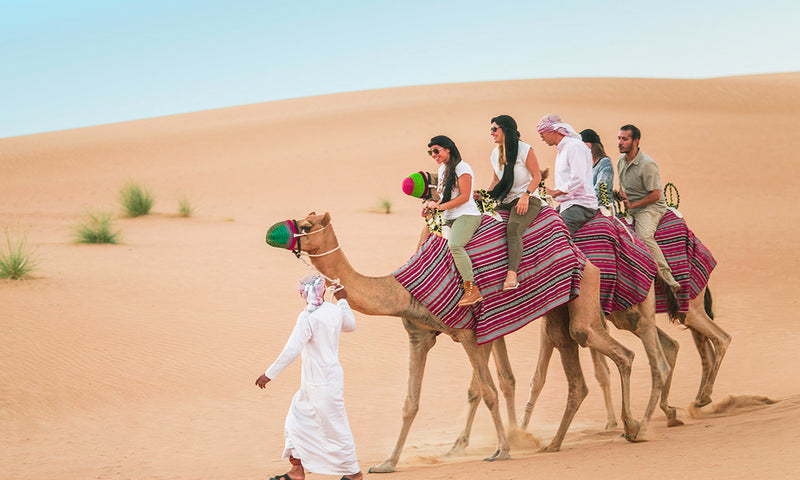 Camel riding experience, likely as part of a desert safari