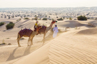 Camel riding experience, likely as part of a desert safari