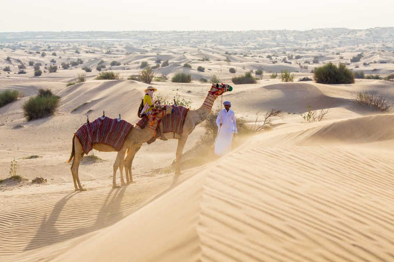 Camel riding experience, likely as part of a desert safari