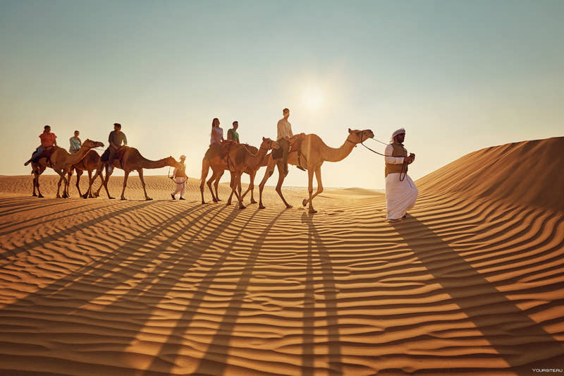 Kameltur i Ras Al Khaimah