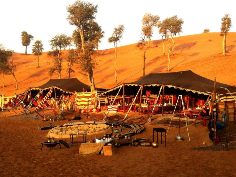 traditional Bedouin-style tent setup in a desert environment