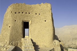 Ras Al Khaimah bytur med privat bil