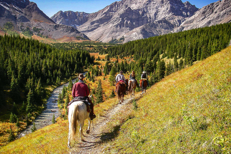 Cappadocia Horse Riding Tour