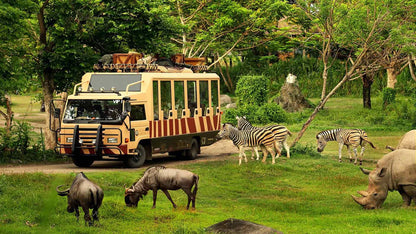 Dubai Safari Parkı Biletleri