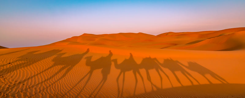 Abu Dhabi Sabah Çöl Safarisi