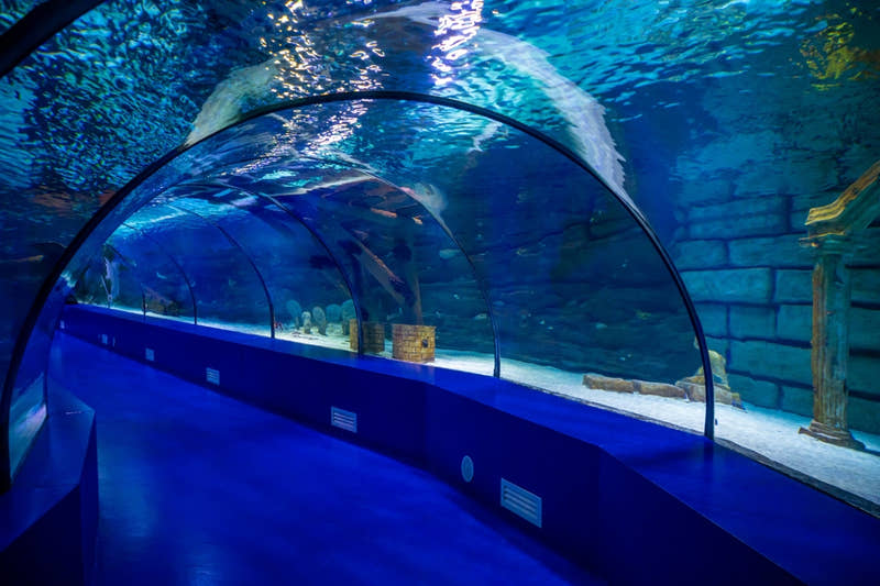 Antalya Aquarium mit Eintritt