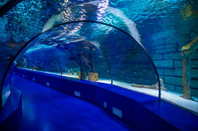 Antalya Aquarium with Entrance & Transfer from Side