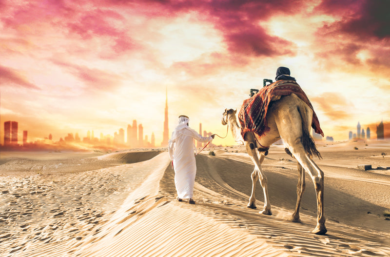 Abu Dhabi Sabah Çöl Safarisi