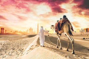 Man walking with camel