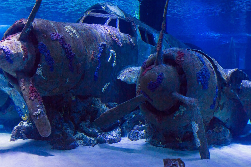 Antalya Aquarium with Entrance