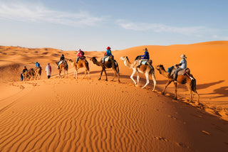 People camel trekking through the desert