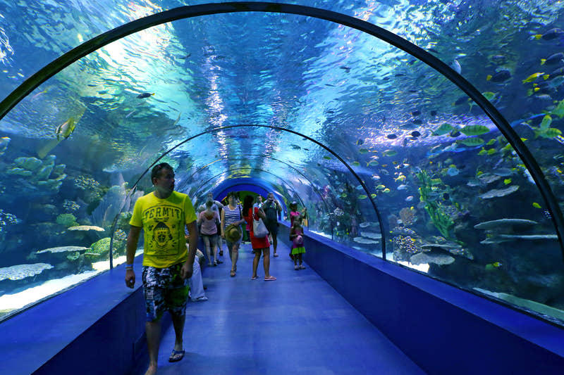 Begehbarer Glasboden im Dubai Aquarium
