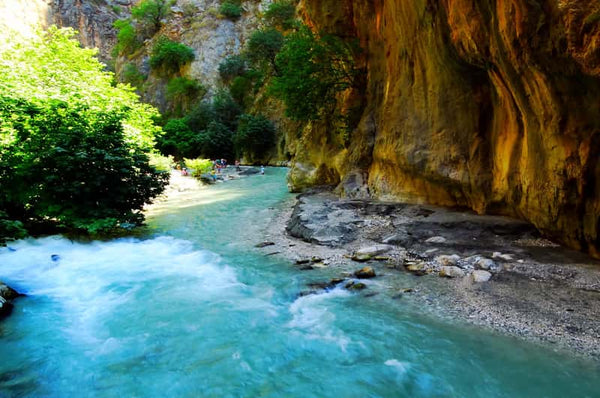 Fethiye Saklikent National Park Tour with Open Lunch Buffet & Roundtrip Transfer