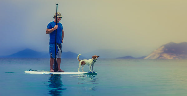 Stand-Up Paddleboarding at Sunset