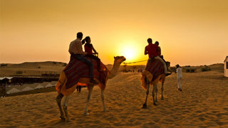 People riding camels