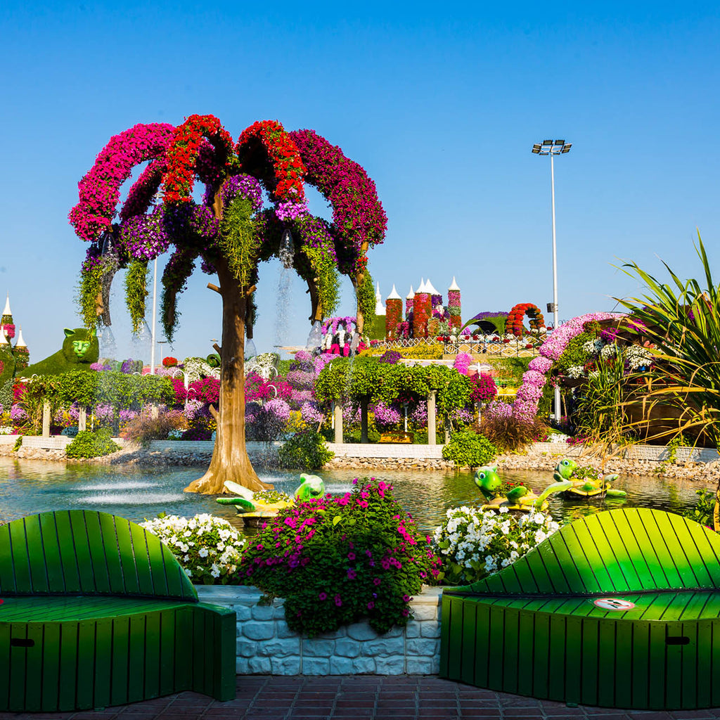 Dubai Miracle Garden
