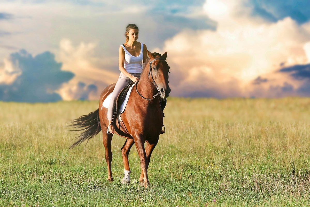 Horseback Safari Through Love Valley